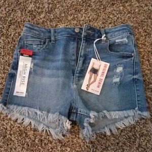 High Rise Distressed Denim Shorts